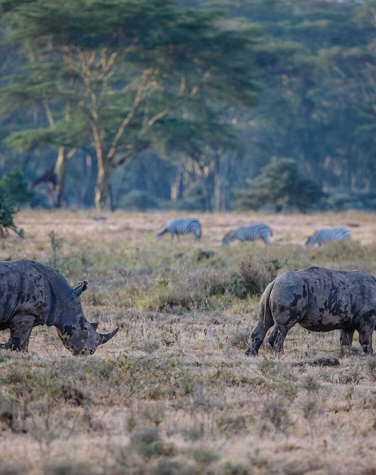 Lake Nakuru