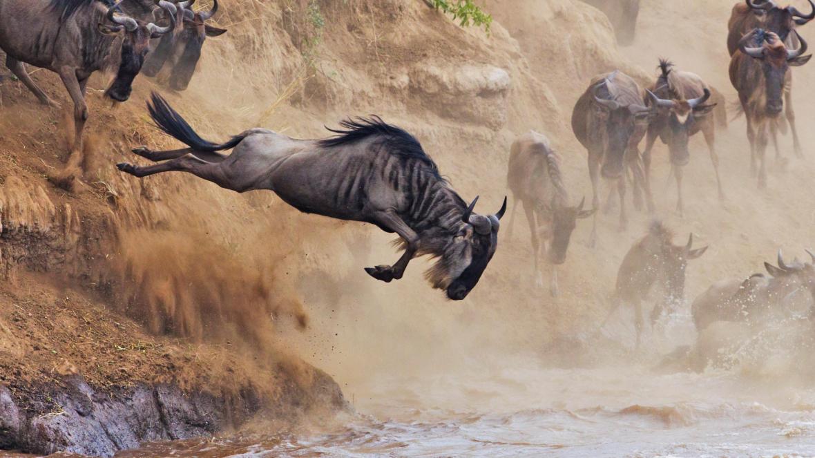 Kenya & Tanzania Great Migration Safari