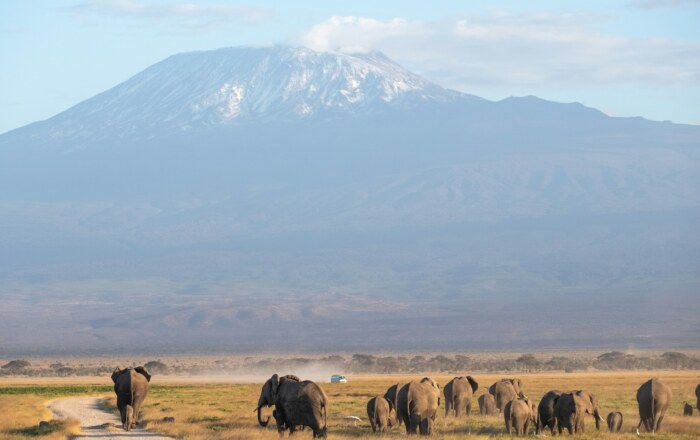 Amboseli