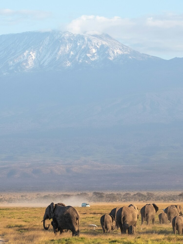 Amboseli