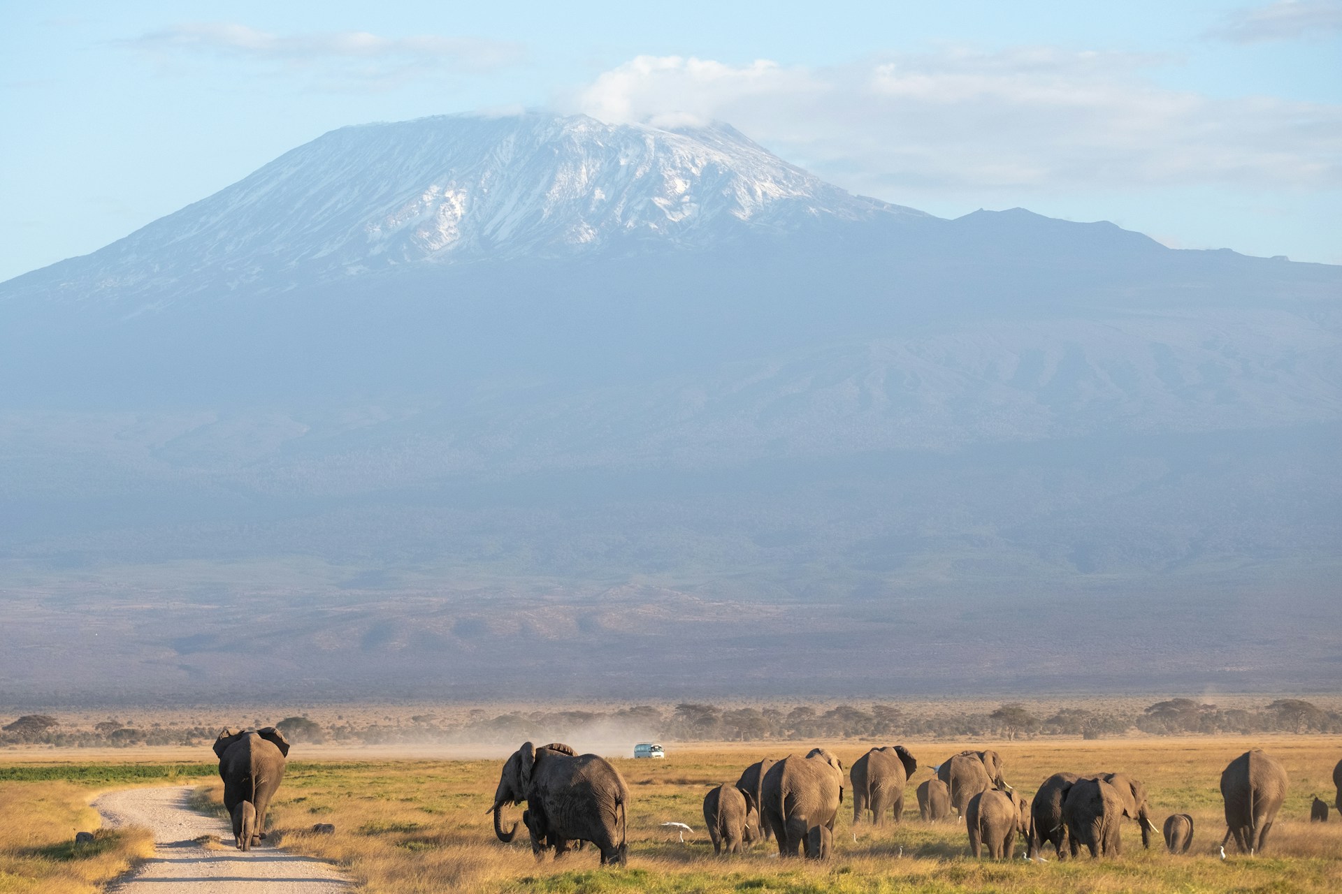 Amboseli