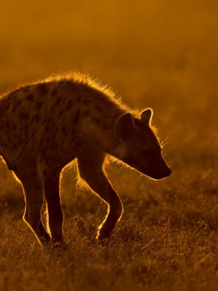 Kenya