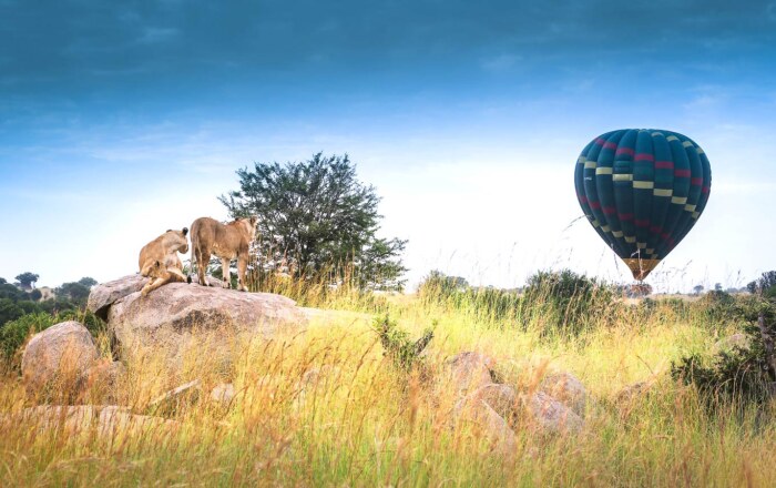 Tanzania