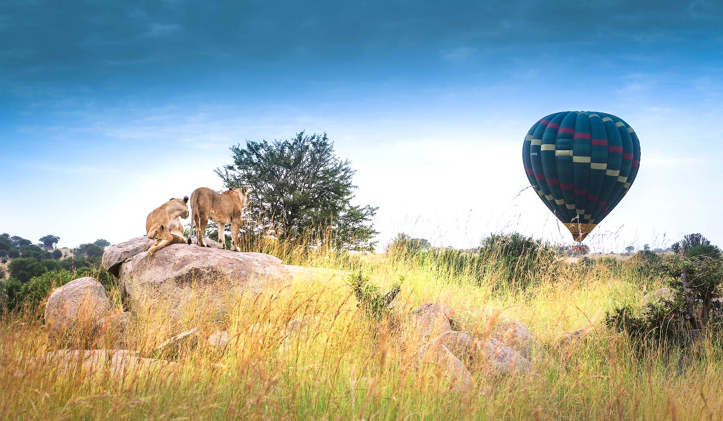 Tanzania