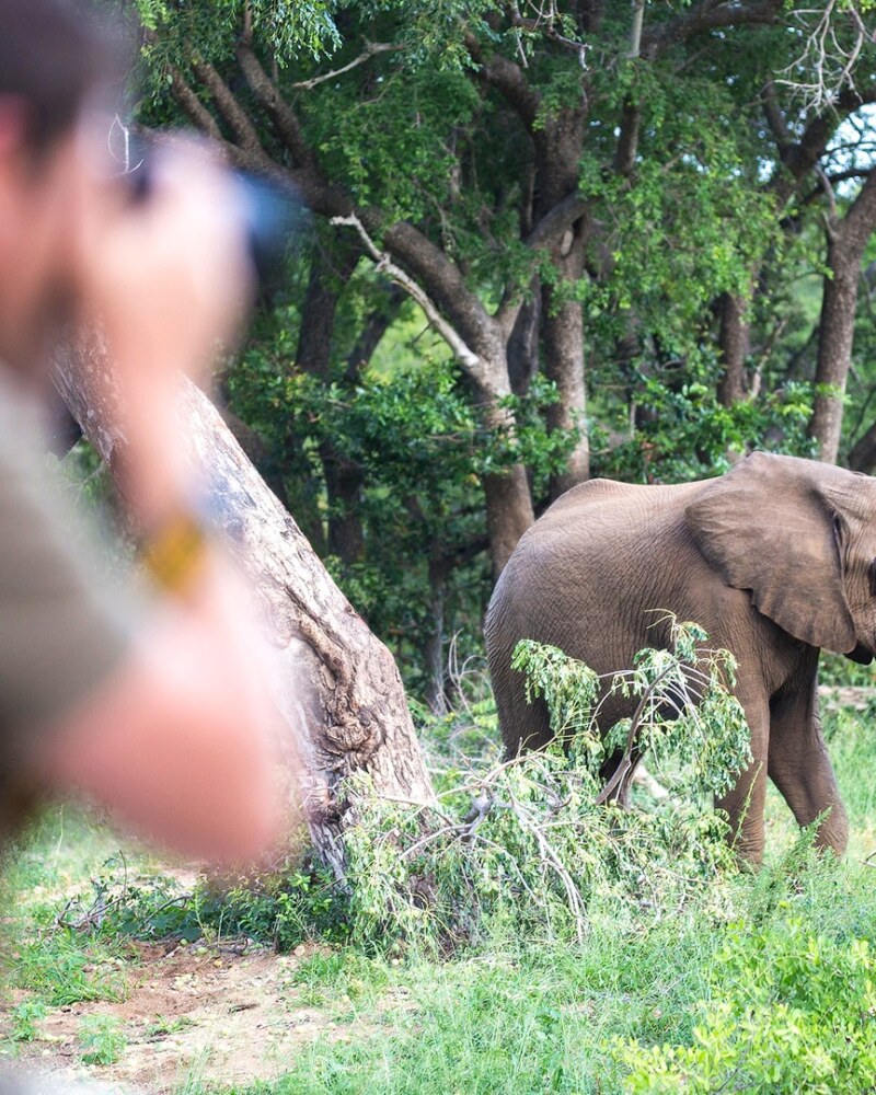 Tanzania Safari & Zanzibar Beach